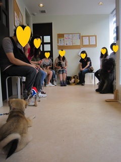 2012.6.2Pupppy_patry.jpg