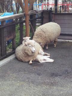 20120322_202609.jpg