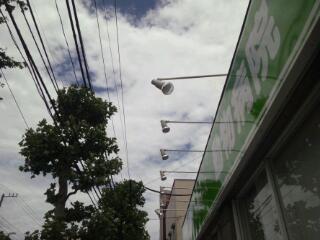 20120620_091752.jpg