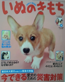 いぬのきもち8月.jpg