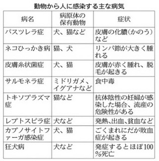 感染症2.jpg