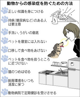 感染症1.jpg